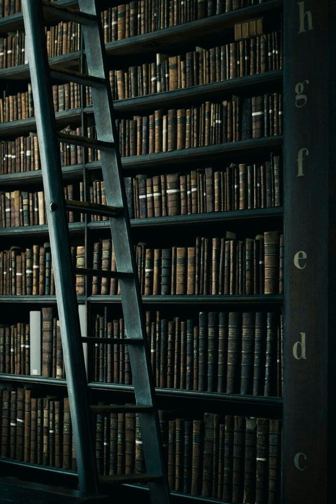 recensioni libri biblioteca piena di libri con scala davanti agli scaffali